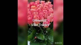 Universal - Vibe Tracks | LIMO Recording Studio