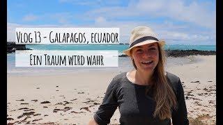 Vlog 13: Galapagosinseln - ein Traum wird wahr