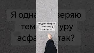 берегите своих булочек #собака #животные #суперсобака #прикол #смешновидео #bulldog #смешнойшортс