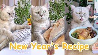 Funny Chef Cat Makes MaLaTang & Fried Fish || Chinese Food Recipes   || Cat Cooking Food Compilation