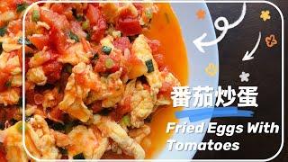 只放盐却人人都爱的番茄炒蛋|Only salt but everyone loves it—Fried Eggs With Tomatoes