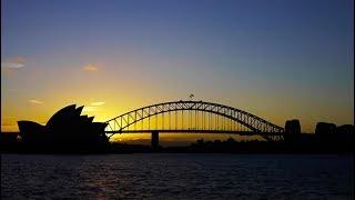 Cisco and Local Measure Case Study at Sydney Opera House