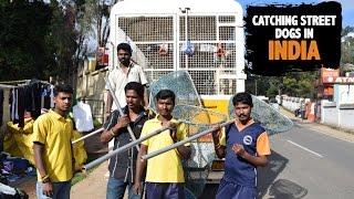 The " Boys" - Dog Catchers of Ooty