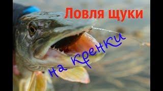 Ловля щуки на кренки