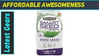 Pennington Smart Seed Dense Shade: The Ultimate Shade Grass?