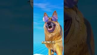  Talking Dogs? The Nazis Actually Tried This 