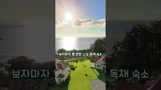 보자마자 뿅 반한 유럽 감성 뷰맛집 신상 오션뷰 독채 펜션