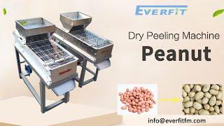 200 KG / H Automatic Peanut Blanching Machine | #peanut