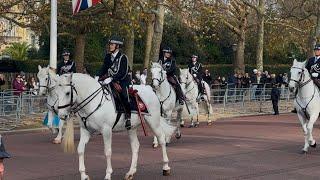 YES THESE HORSES ARE ABSOLUTELY REAL!