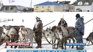 Самые быстрые тундровики НАО живут в СПК «Ерв»
