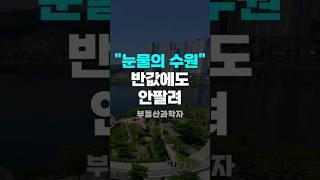 "너무 화가 납니다" 눈물의 수원 아파트 #부동산전망 #수원아파트 #하락