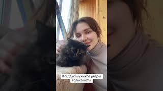 MyFox - Мур-Мяу