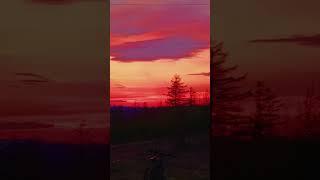 18 мая 2025 г.