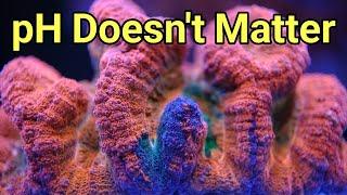 Why You Shouldn't Focus on pH | The Prestige Reef Dork Show Ep 61