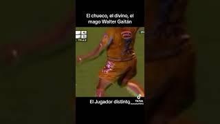 Walter Gaitan El Mago