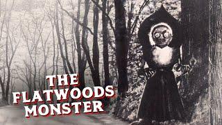 The Appalachian Cryptid That Might Be an Alien? | The Flatwoods Monster