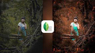 Snapseed Aqua And Brown Colour Photo Editing | Snapseed Photo Editing Tricks | Lightroom Free Preset