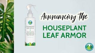 Clean & Protect Houseplant Leaves with the Leaf Armor Spray | Fiddle Leaf Fig Plant Resource Center