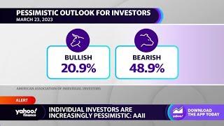 Bearish sentiment remains unusually high amid recent market turmoil