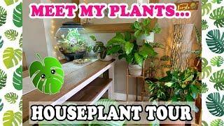 WELCOME TO THE JUNGLE!  NEW LEAF HOUSEPLANT TOUR 