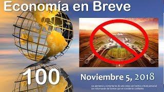 Economía en Breve 100