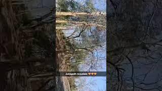 junagadh mountain ️️