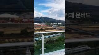 #shorts#cafe#청도카페#문버드