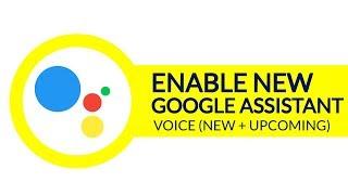 How to Get New Google Assistant Voice (Male & Female) + Upcoming Voice