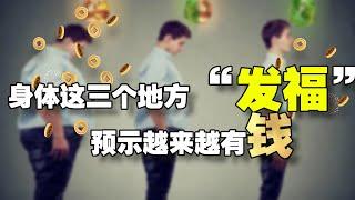 财富的象征｜身体这三个地方“发福”，预示财运越来越好 @geogra