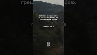 Псалом 118:9-16 в современном переводе #библия #biblevision