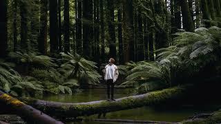 Jamie TK - Slowly Moving Along (Visualiser)