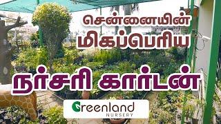 Introducing Namma Greenland Nursery Chennai to all!