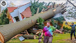 Dangerous Fastest Idiots Cutting Tree Fails Skill With Chainsaw | Tree Falling on Houses #3