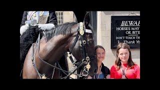 latest from horse guard London!"