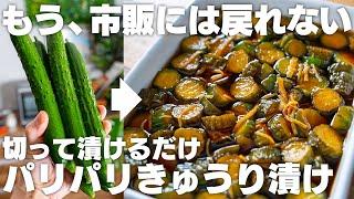 切って漬けるだけ。パリパリポリポリ食感が最高なきゅうり漬け【作ってすぐでも美味しい】