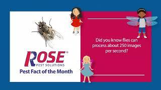 Rose Pest Solutions Fly TV Commercial 2022
