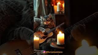 The cat plays a romantic song on the guitar.