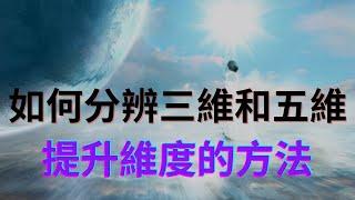 分辨三維和五維的頻率，如何知道自己在什麼維度？在五維的徵兆，提升維度的方法