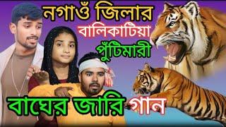 নগাওঁ জিলার বালিকটিয়া  বাঘের জারি গান Bager Jari gaan #জারিগান#roshidulsinger #alomfunnytv