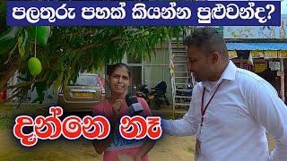 අයන්න අකුරෙන් පලතුරු 5ක් | #Sri_Lanka_Education