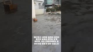 영주시 콘크리트 폴리싱, 완벽한 시공을 경험하세요!