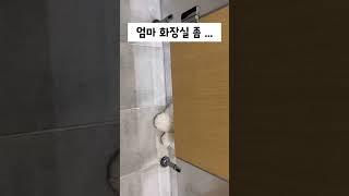 엄마 화장실 좀...기다려..#꼬똥드툴레아 #반려견 #애견영상   #강아지일상 #puppy #dog #강아지브이로그 #인스타그램 #기다려 #애견카페 #카페 #구독