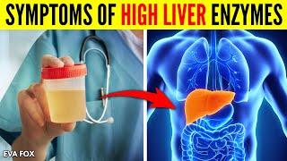 Signs and Symptoms of High Liver Enzymes Causes and Treatment