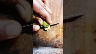 Cutting figs #short #islamicvideo #shortvideo