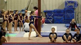 Madison Gymnastics Vault 1/23 McCracken's 9.1