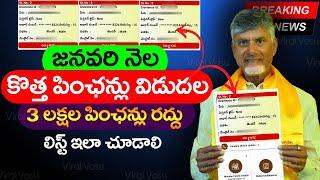 3 లక్షల పింఛన్లు షాక్  | NTR Bharosa Pension Registration | Pension Status Online |  @ViralVasu