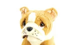 Small Sitting English Bulldog Soft Toy - The Magic Toy Shop