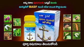 Pirate insecticide Telugu | How it Works ? | Mode of Action | Pirate  Application information