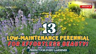 Top 13 LOW-MAINTENANCE Perennial Flowers for Effortless Beauty!  // Gardening Ideas