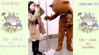 Gấu lầy tik tok troll gái xinh  |new